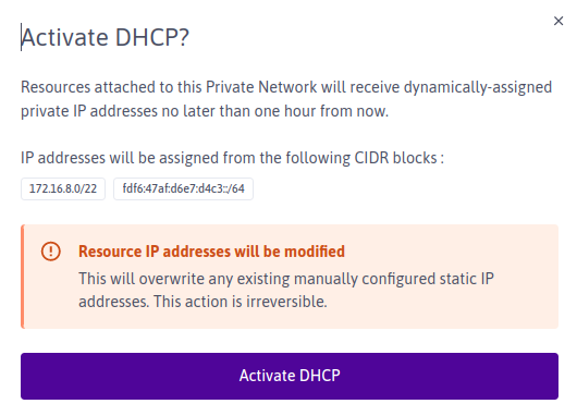 A modal displays the text: 'Activate DHCP? Resources attached to this Private Network will receive dynamically-assigned private IP addresses no later than one hour from now. IP addresses will be assigned from the following CIDR blocks' (and an example IPv4 and IPv6 block). 'Warning: resource IP addresses will be modified. This will overwrite any existing manually configured static IP addresses. This action is irreversible.' A button at the bottom of the modal displays the text 'Activate DHCP'.