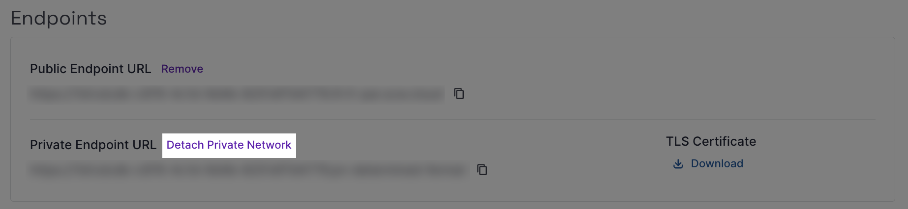 A screenshot of the Managed Interface product overview tab in the Scaleway console, highlighting the Private Network detach section
