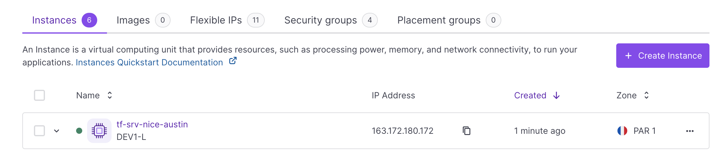 The DEV1-L Instance displays in the Instances list of the Scaleway console