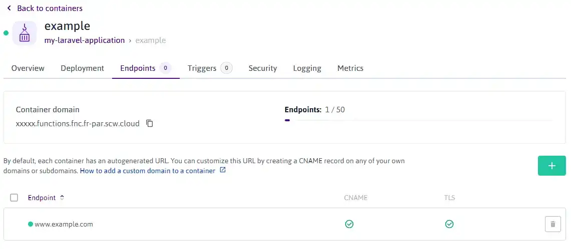 Scaleway Console Container Endpoint