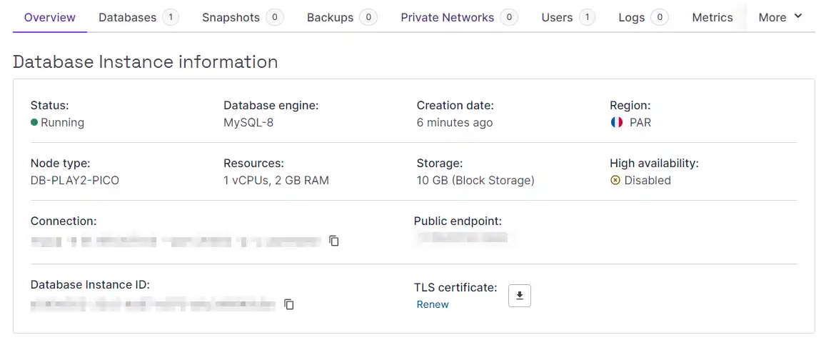 Database Instance Information page in the Scaleway Console