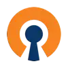 OpenVPN